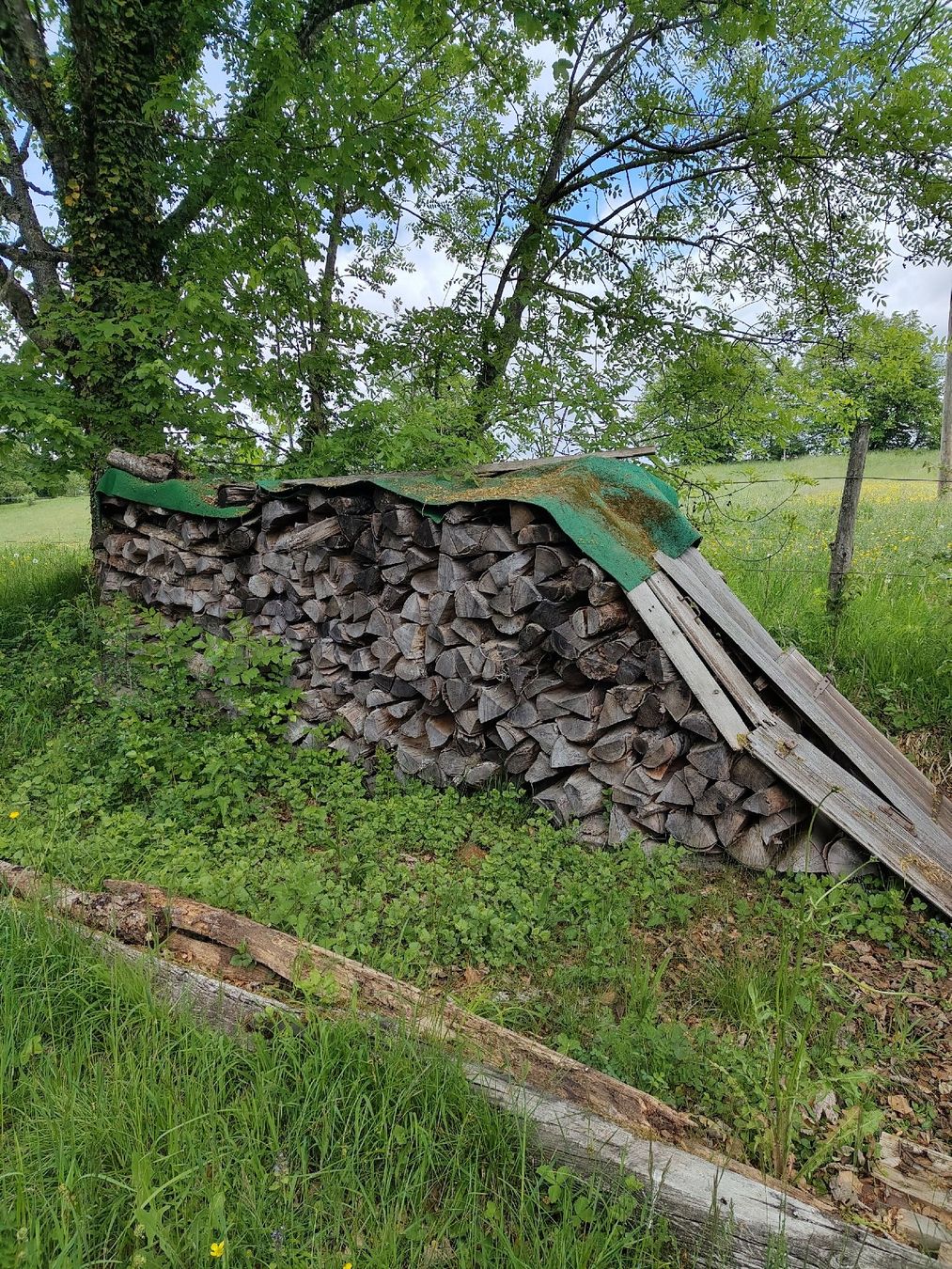 Articoli in legno: bois de feu – Nuovo (secondo la descrizione) da Bure venduto da Srh2