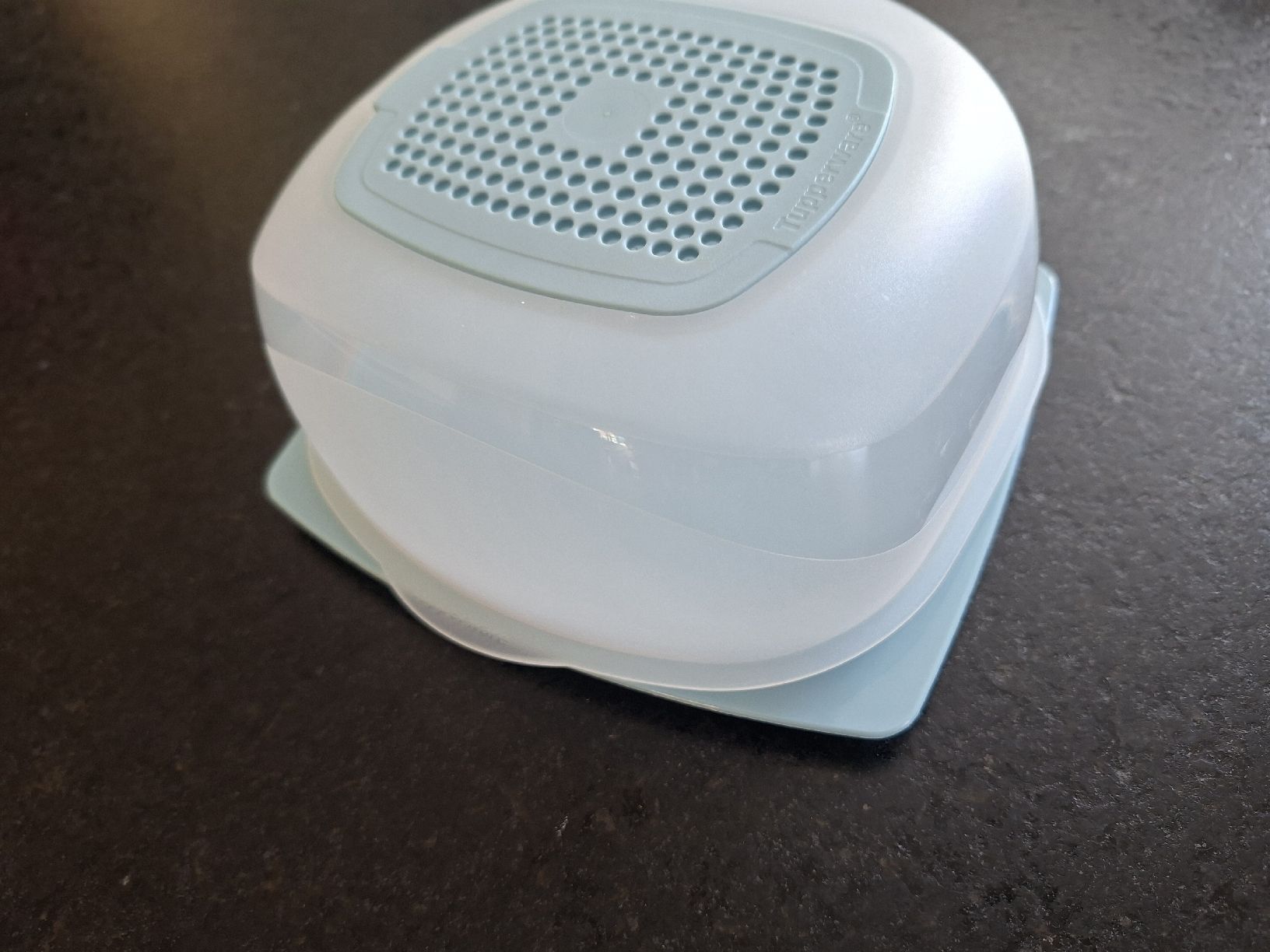 Tupperware Contenitori & Simili: tupper Käsebox neu – Nuovo (secondo la descrizione) da Meinisberg venduto da MartinaM1972