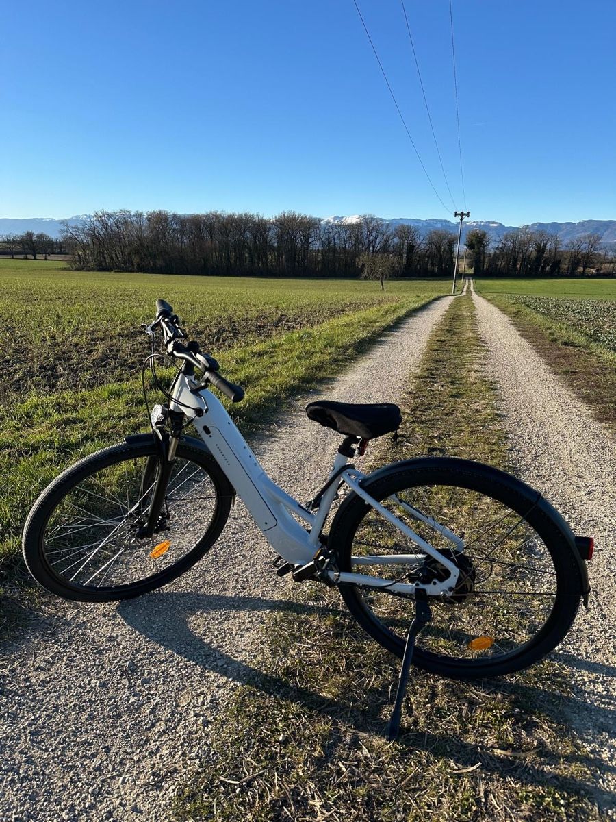 Biciclette: Vélo électrique comme neuf  – Nuovo (secondo la descrizione) da Chernex venduto da sif_6s8x 2