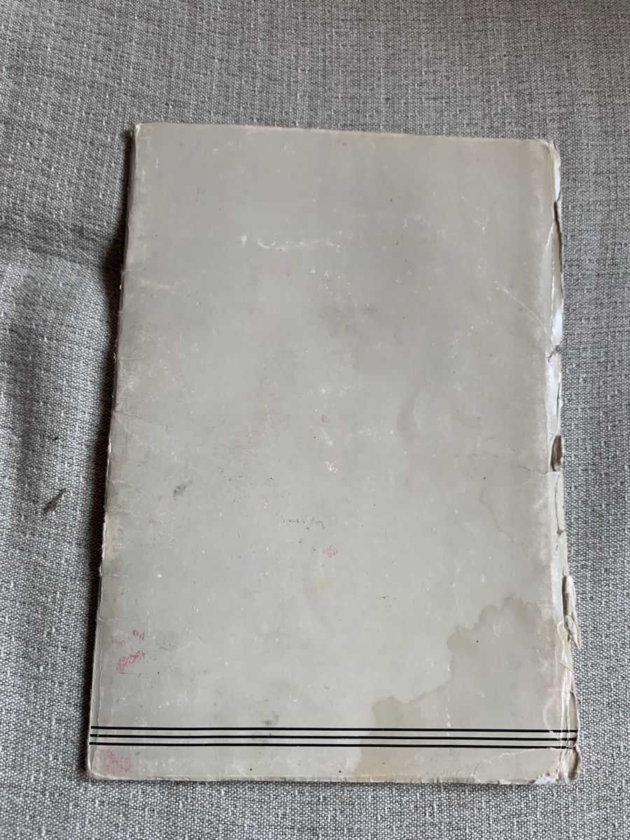 Libri: Steyr Puch Haflinger Bedienungsanleitung – Usato da Dotnacht venduto da tmn_8 5