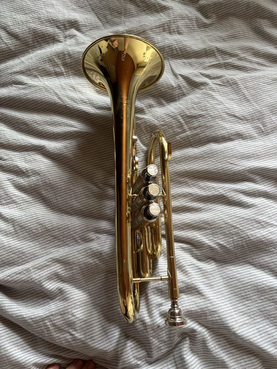 Musikinstrumente: Weril Cornet EC107t – Gebraucht aus Kilchberg BL von wirz_lorena 2