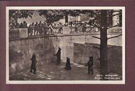 BERN - Bärengraben - 1932 // Ecke defekt //