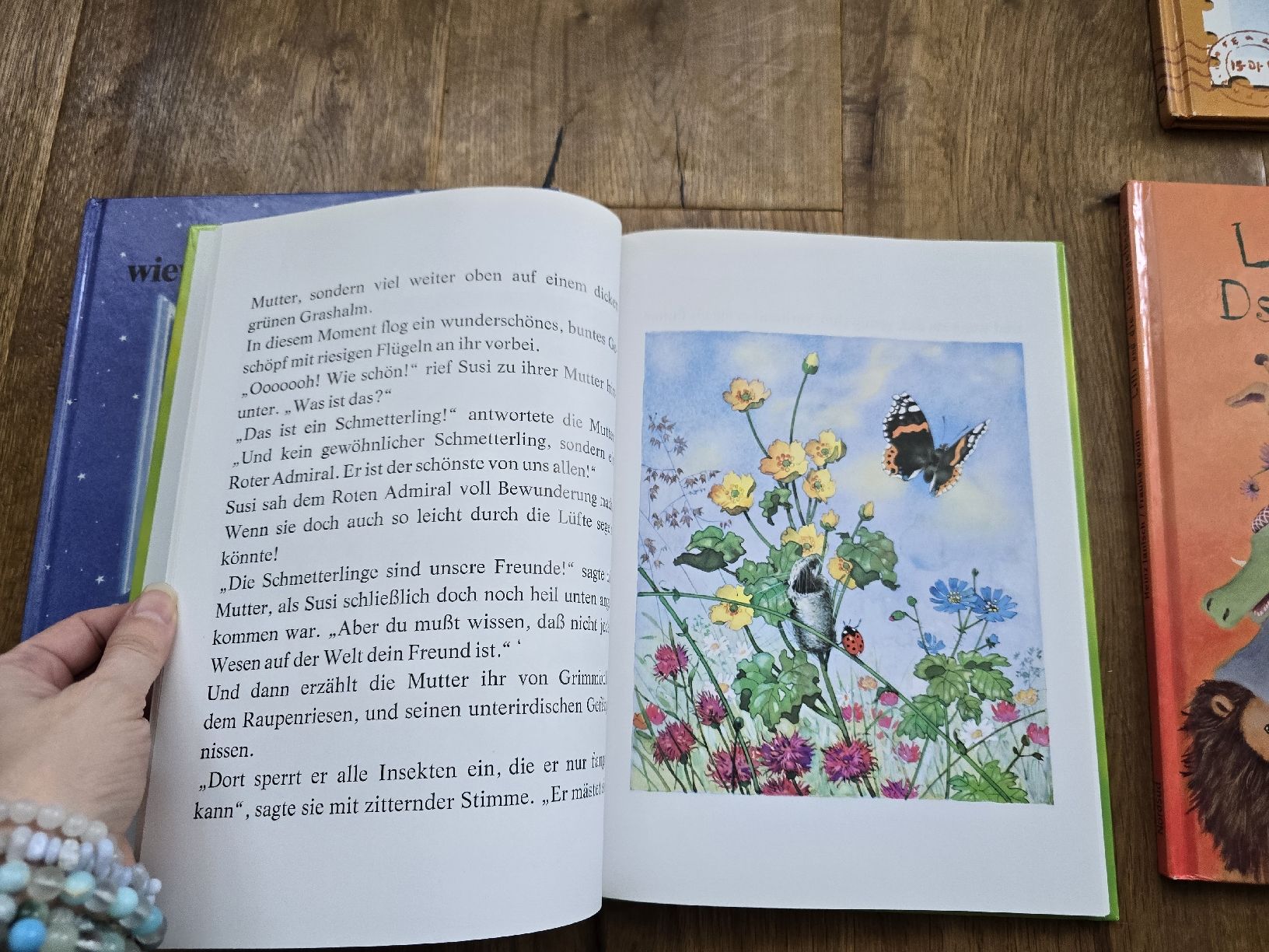 Libri: bücher für kinder – Usato da Wittenbach venduto da Tigerlili 3