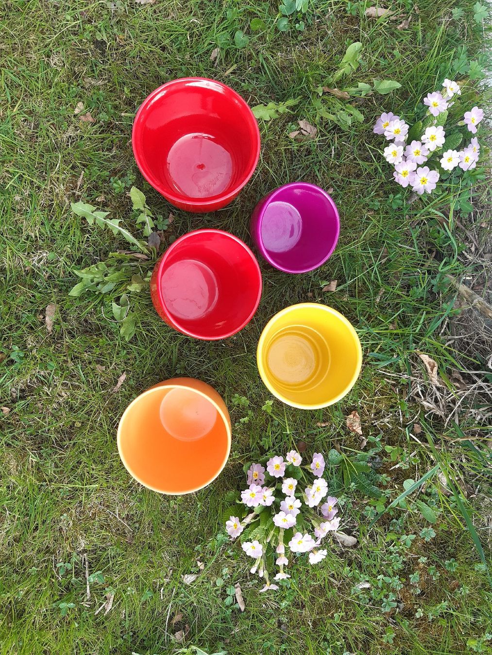Blumentöpfe: 5 bunte Blumentöpfe für drinnen & draussen, Cache pots – Gebraucht aus Uster von mar_276v 1