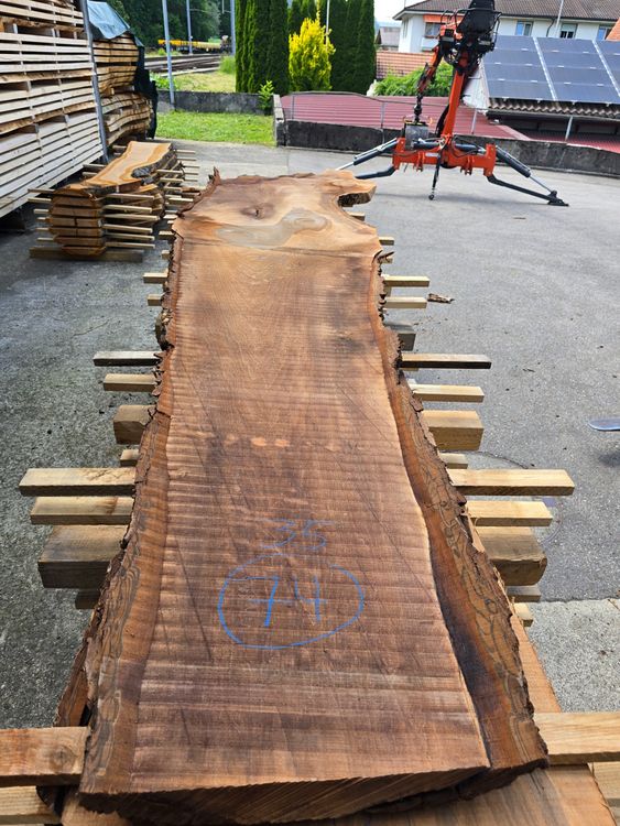 Articoli in legno: Nussbaumbrett Nr.74 – Nuovo (secondo la descrizione) da Lützelflüh-Goldb venduto da ch.waelchli-holz.ch