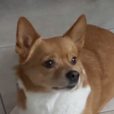 Profile image of Kaety35