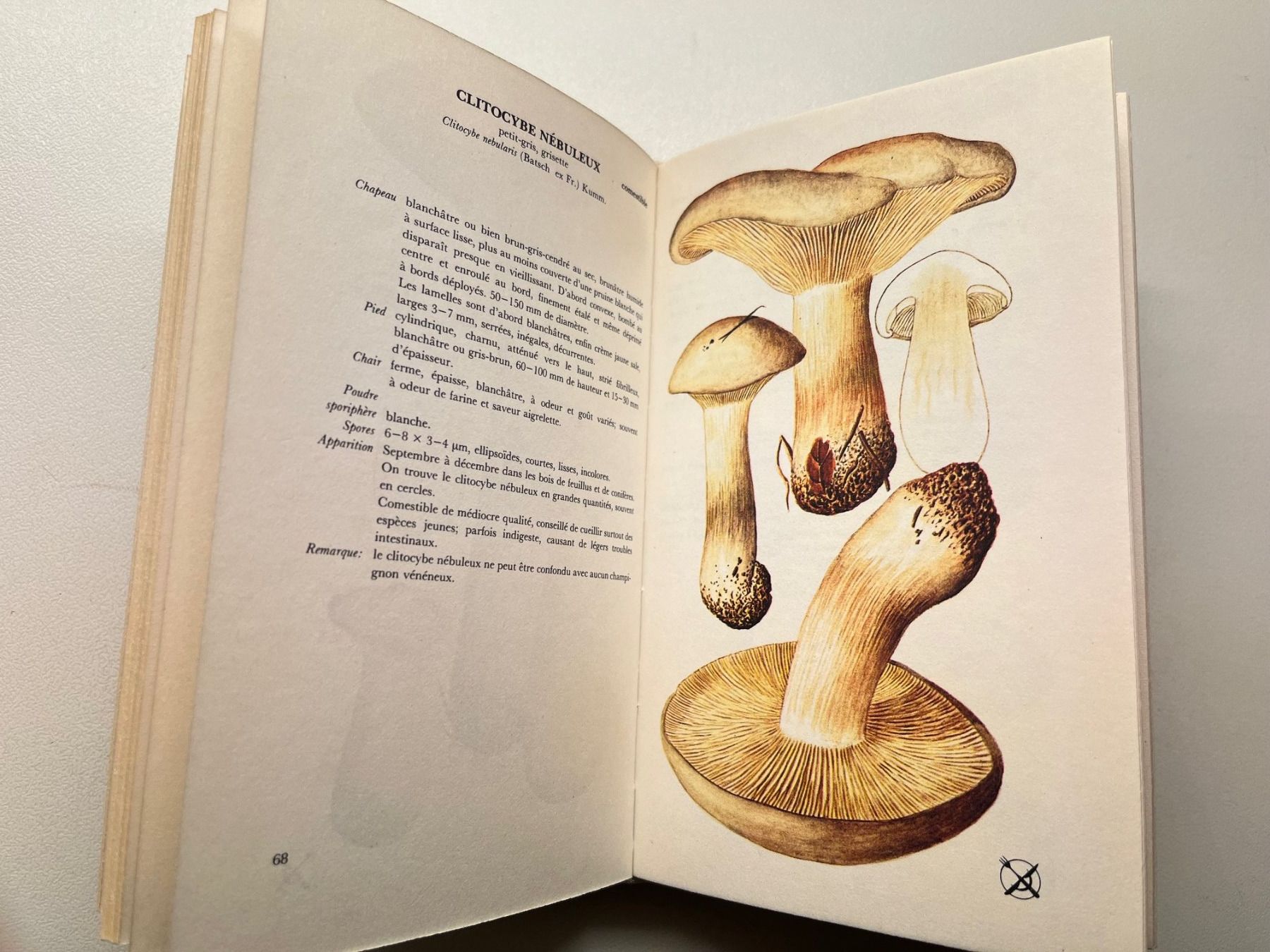 Libri: Les Champignon von Aurel Dermek – Usato da Laufen venduto da Nuria44 5