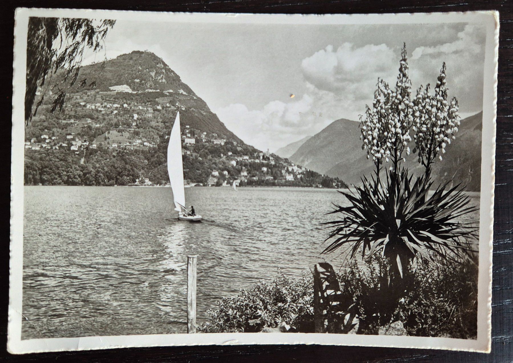 Cartoline postali: Postkarten Lago di Lugano – Usato da Buus venduto da papillon098 3