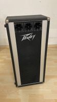 Peavey T-300/1210TS Passiv PA-Lautsprecherbox