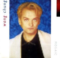 Wang Chung MOSAIC Harry Sokal Peter Wolf Otmar Klein ... CD