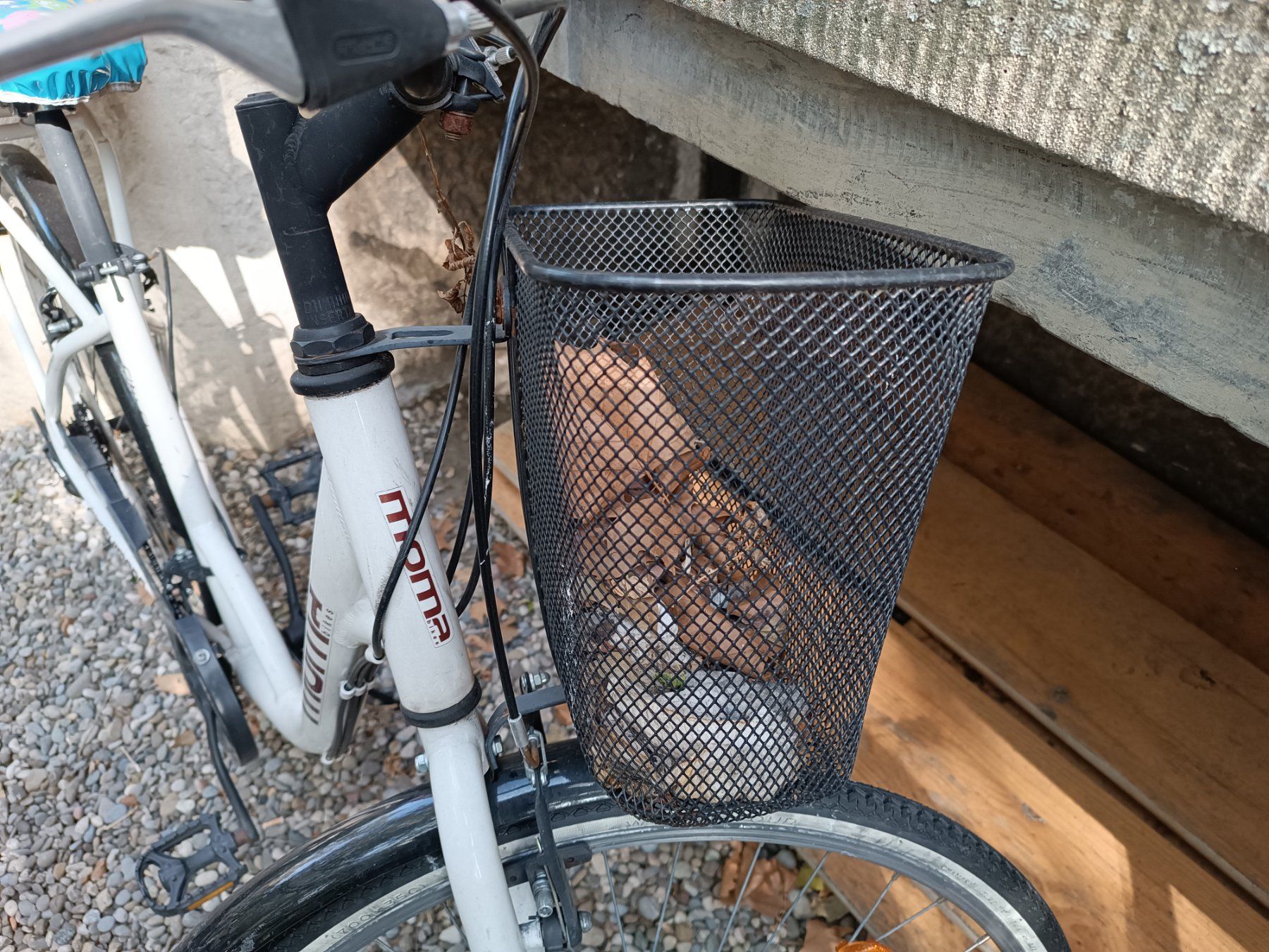 Biciclette: Velo – Usato da Basel venduto da mon_7m8h 1