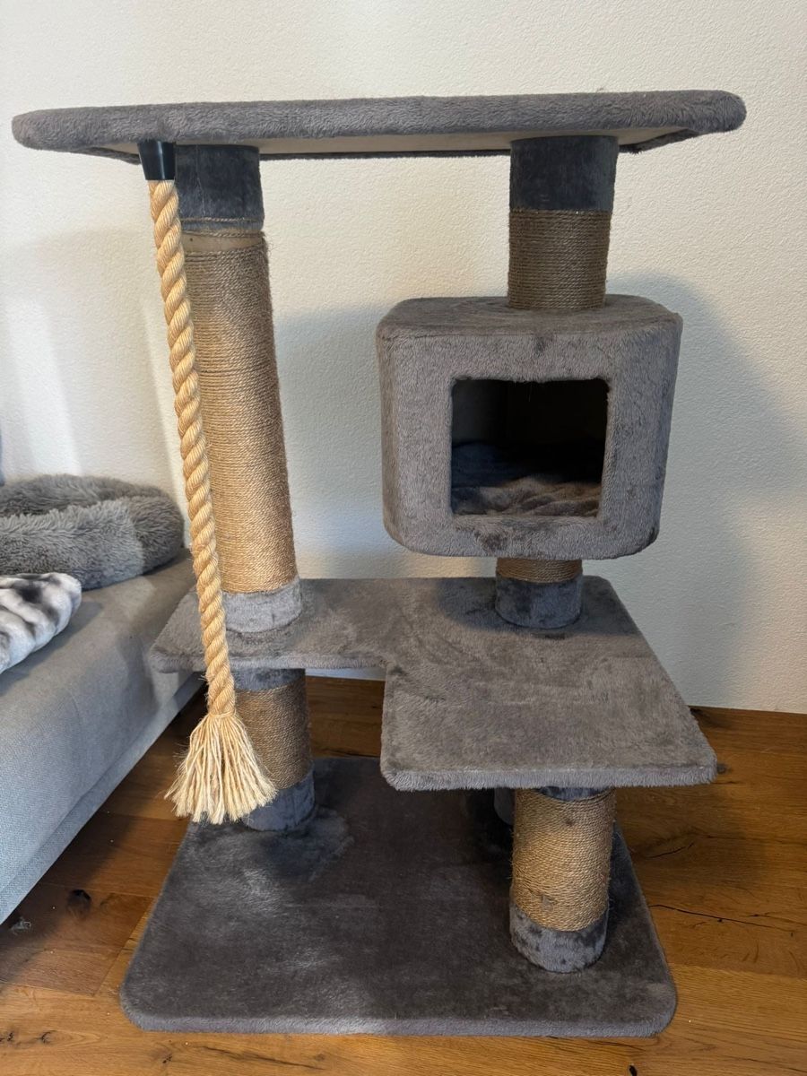 Tiragraffi: Katzenbaum – Usato da St. Gallen venduto da sla_kxb6