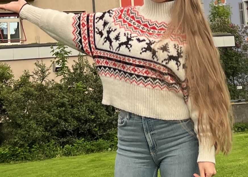 H&M Pullover & Sweatshirts: Cute and very warm sweater – Gebraucht aus Zürich von eli_t8nw 5