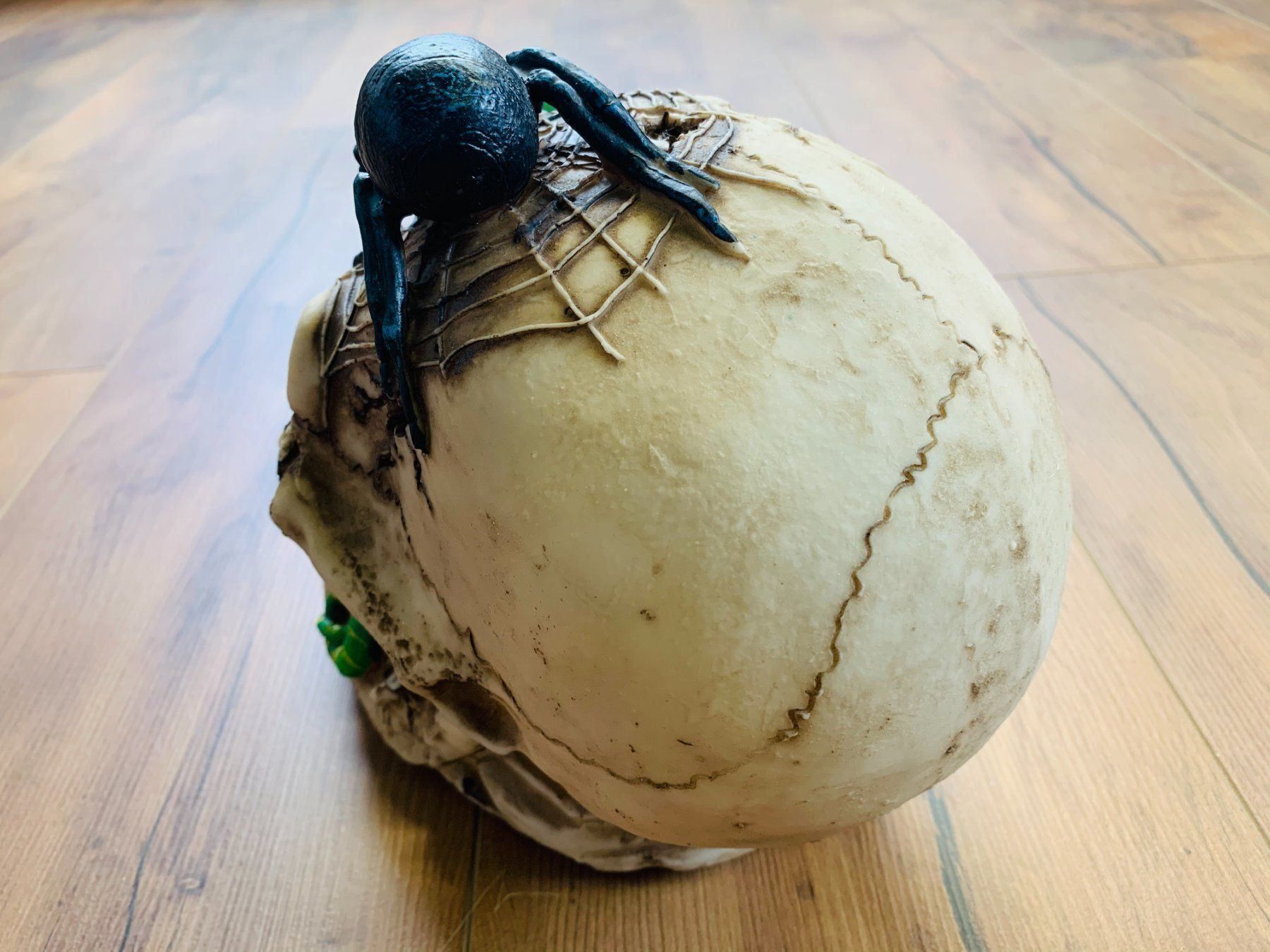 Sculture & Statue: Totenschädel Schädel SKULL Spinne 22cm NEU – Nuovo e nell'imballaggio originale da Bergdietikon venduto da shopAgent 6