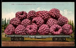 Fotomontage, A Car Load of Rasberries, H