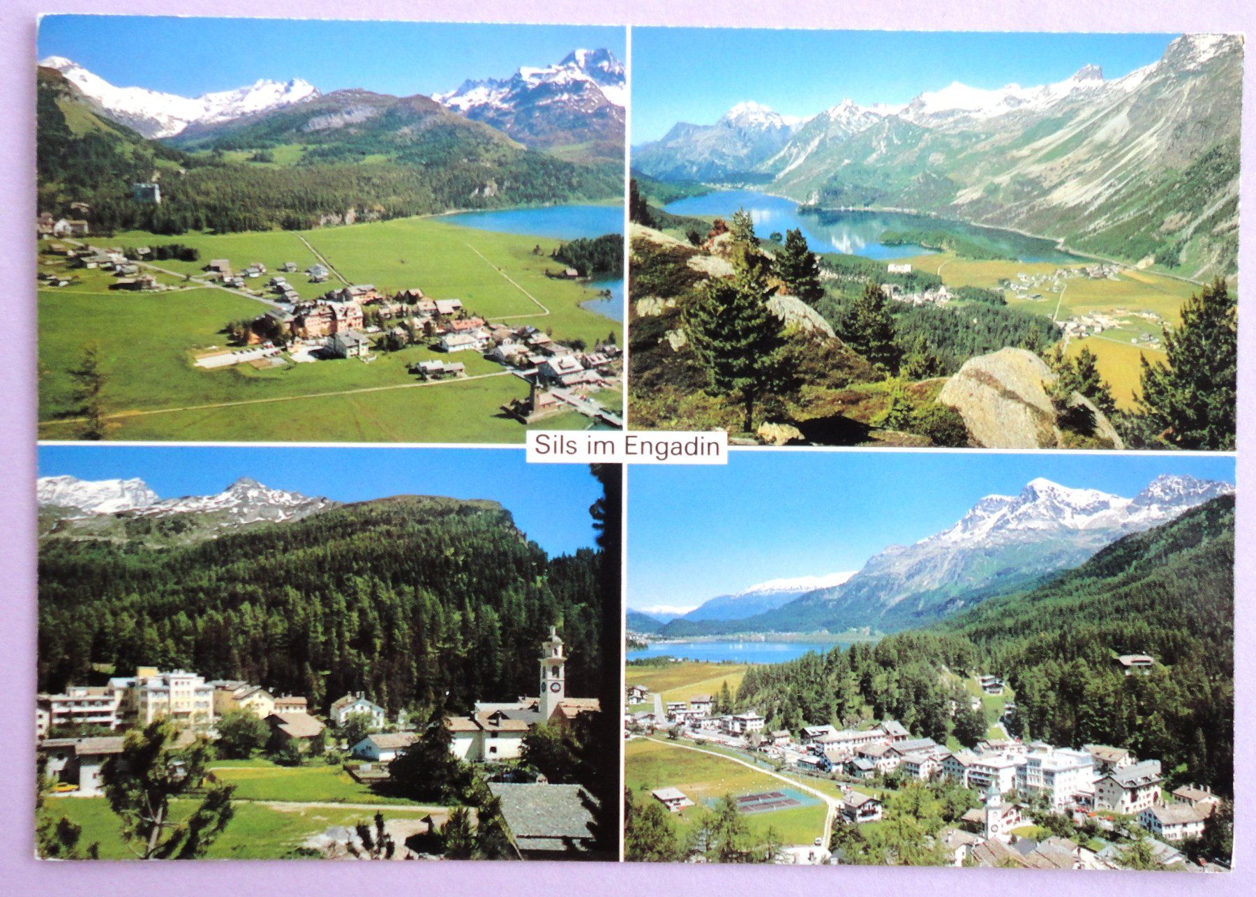 Cartoline postali: Sils im Oberengadin – Usato da Fétigny venduto da Billy2miny