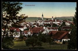 AK Frauenfeld, Ortsansicht mit Kirchtürmen