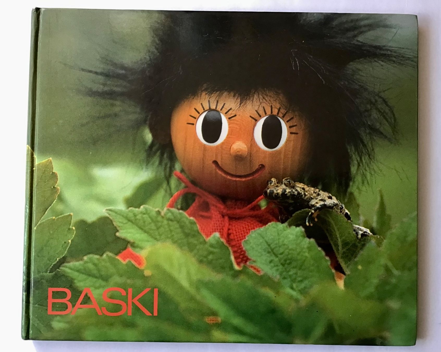 Libri: Bilderbuch: Mit BASKI auf der Vogelinsel – Usato da Bubendorf venduto da Alpenheidi