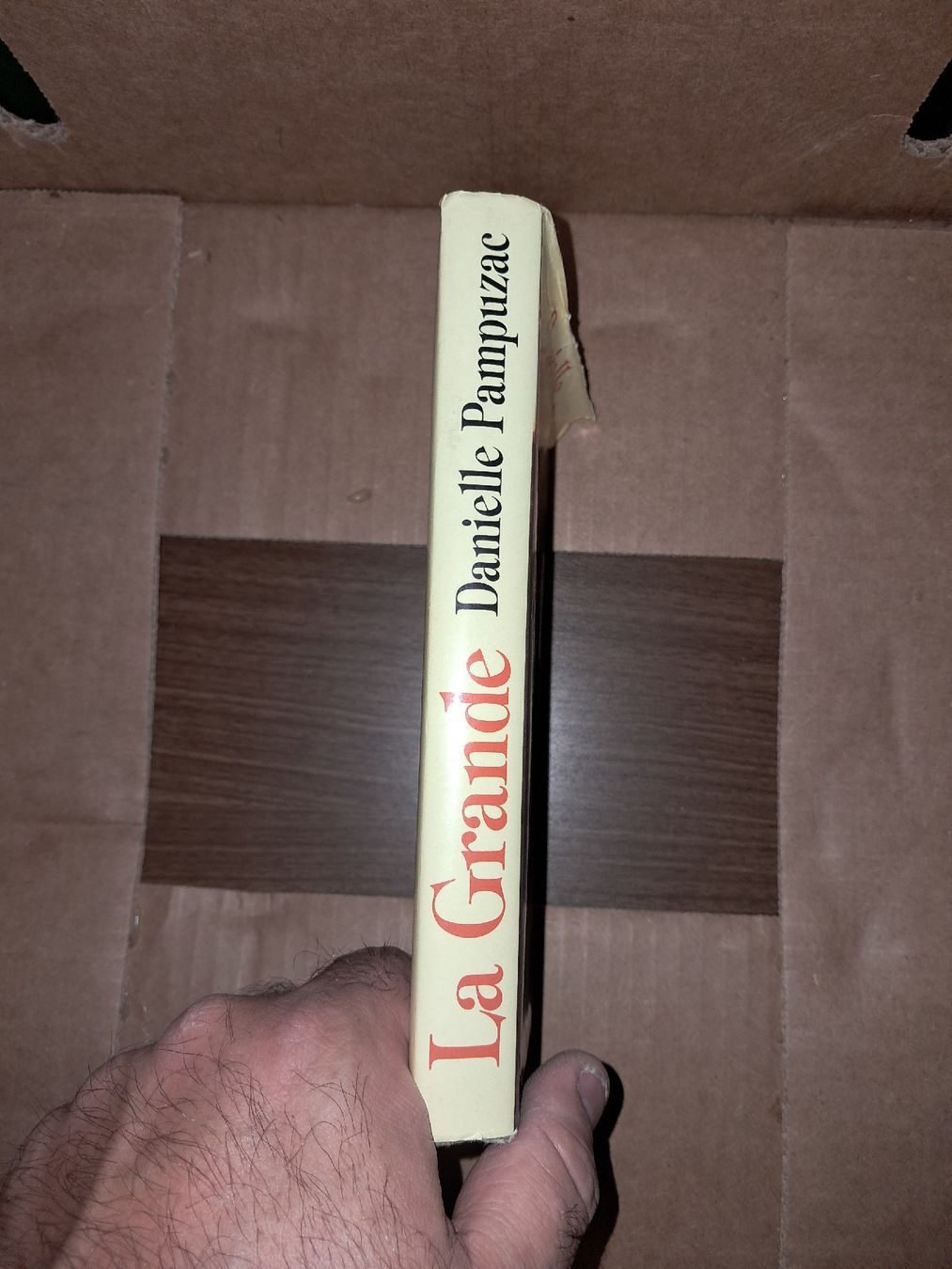 Libri: La grande - Danielle Pampuzac – Usato da Le locle venduto da juliensaran 1