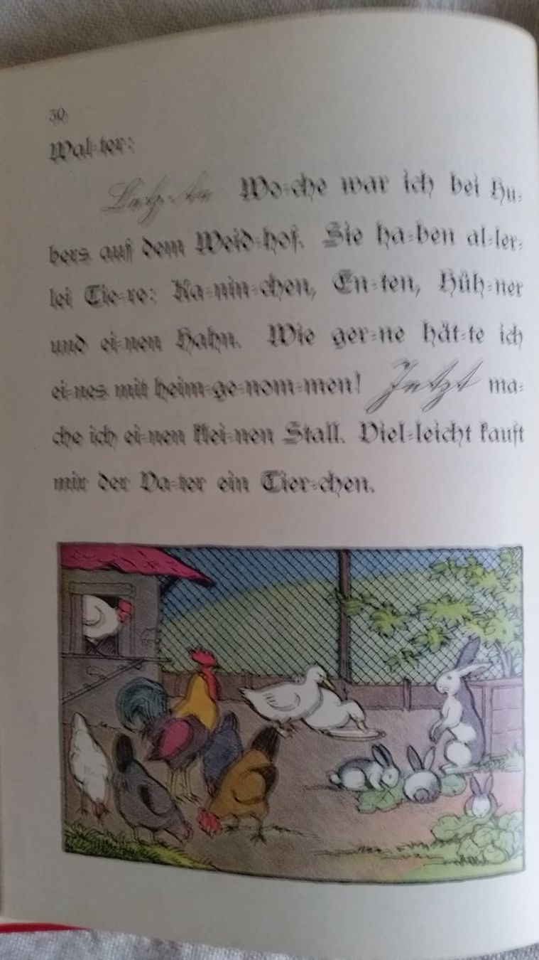 Libri: Im Kinderland – Usato da Niederscherli venduto da Roshi 1