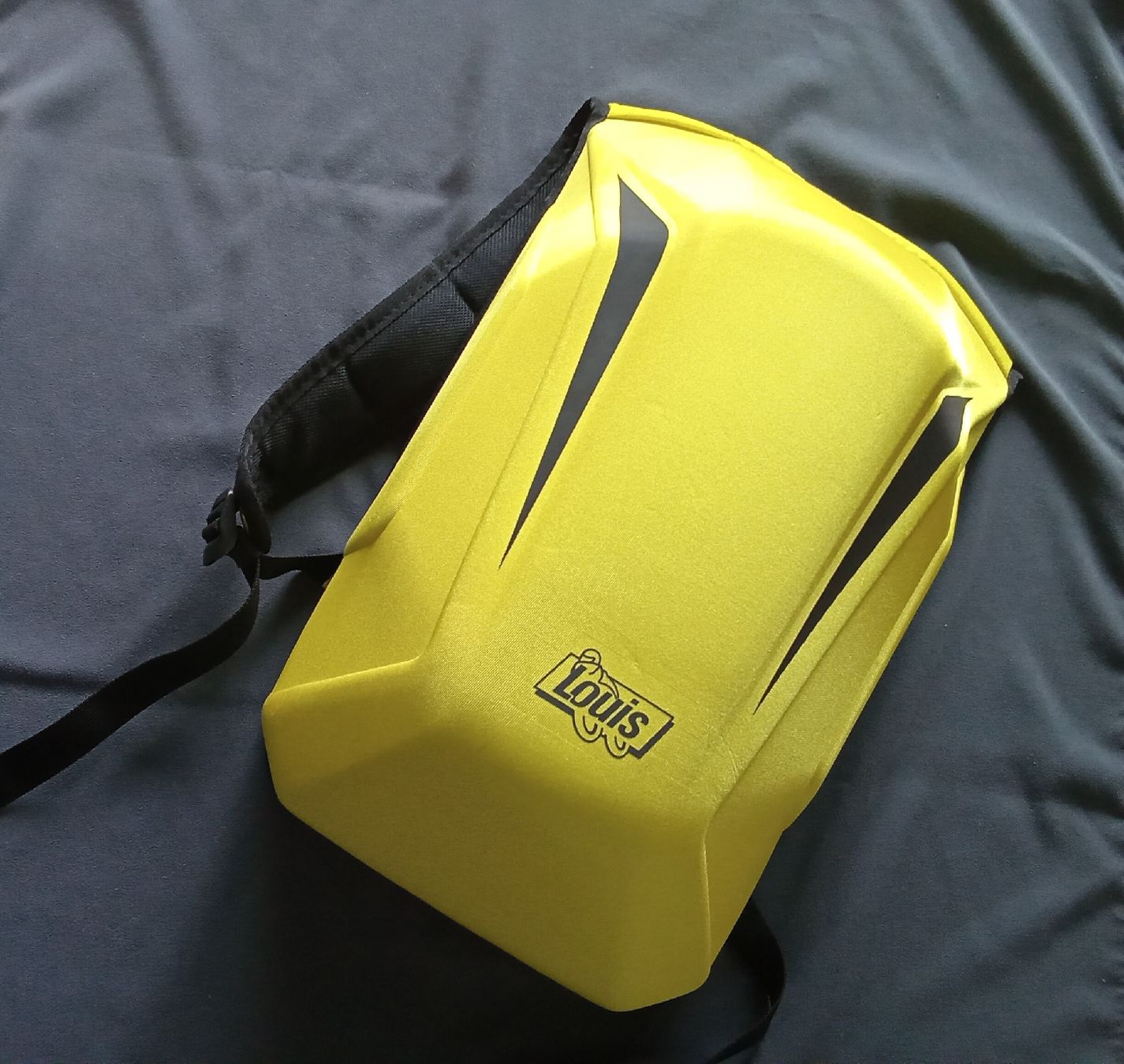 Louis Vuitton Sacs à dos: LOUIS - Rucksack – Neuf (Voir description) à Frauenfeld par clausi