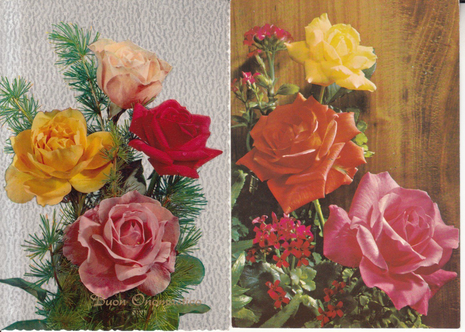 Cartoline postali: Floristik ca. 1970, 2 Karten – Usato da Bürglen TG venduto da StampGraf