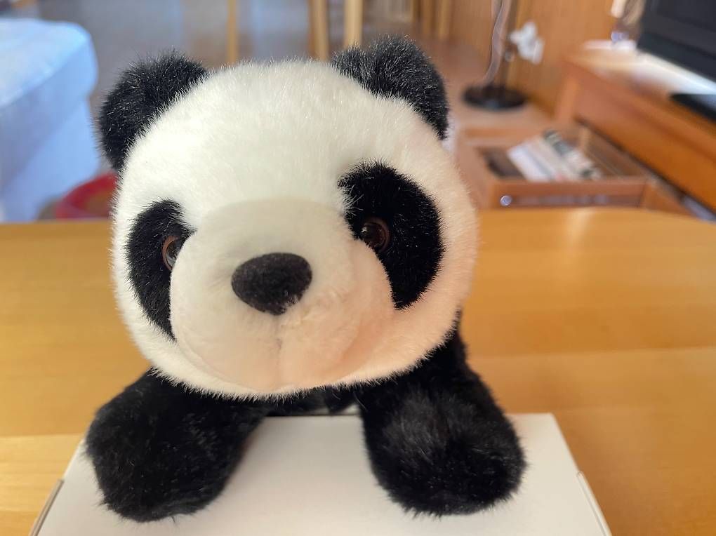 Giocattoli: Plüschtier "Panda", Neu – Nuovo (secondo la descrizione) da Kriens venduto da Angie88 1
