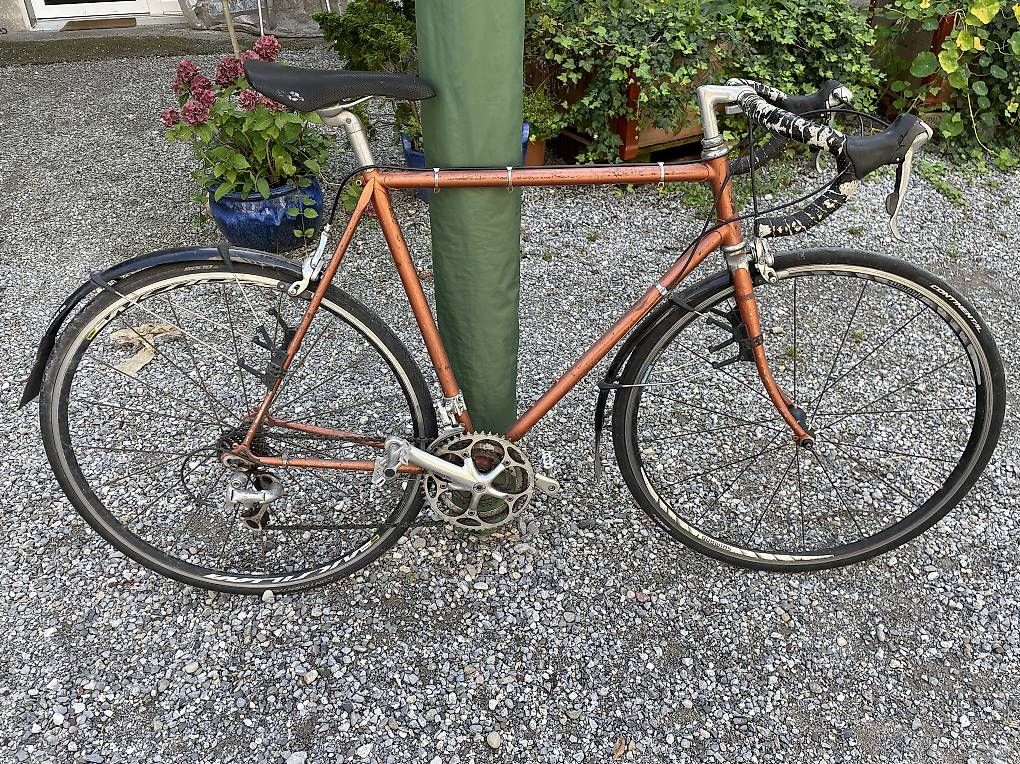 Vélos: Rennvelo – D'occasion à Bern par Sandra_Ce