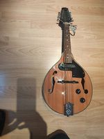Valencia Mandoline MD30, mit Tonabnehmer, Top Zustand!