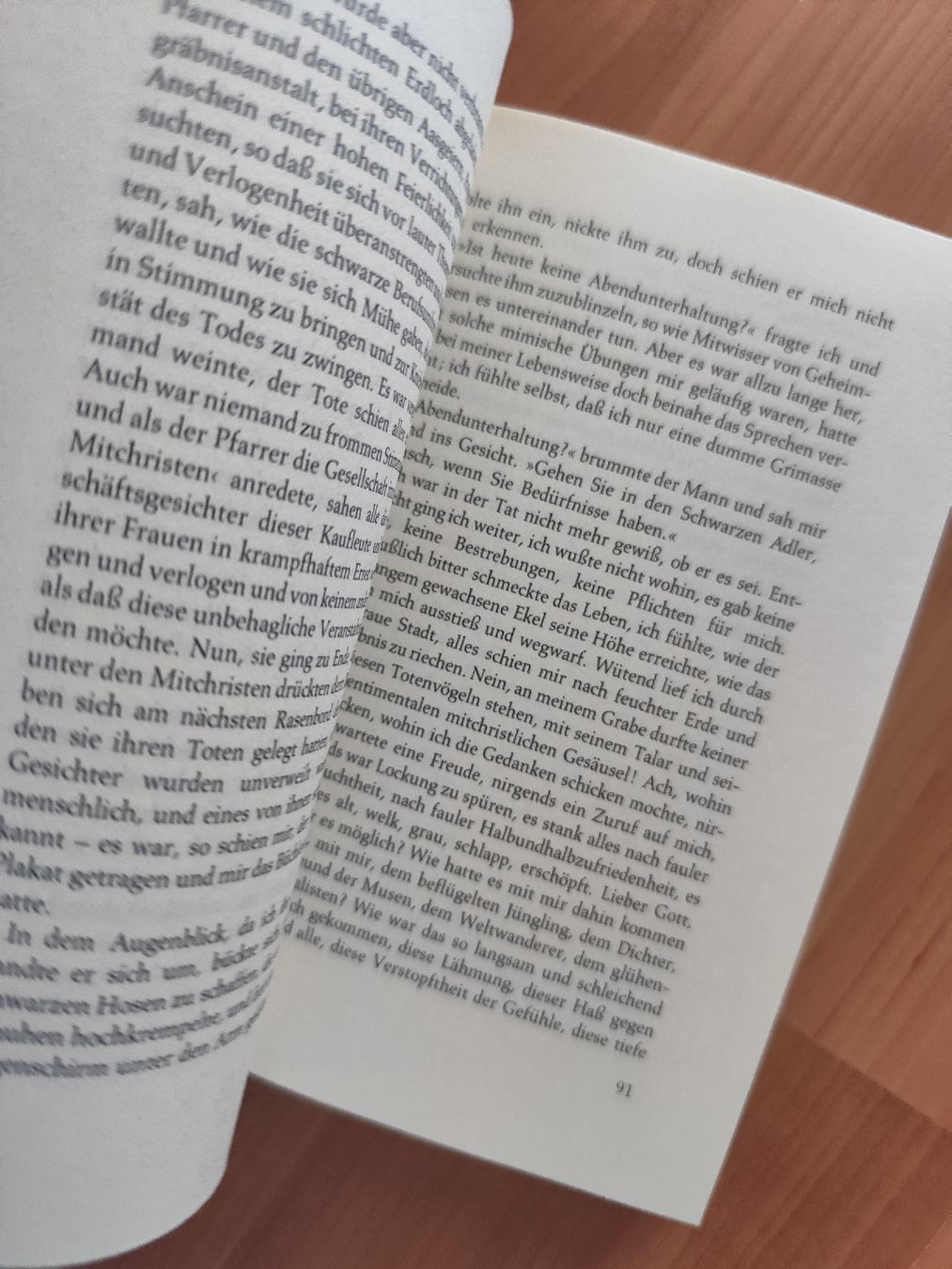 Livres: Buch Der Steppenwolf Hermann Hesse – D'occasion à Mägenwil par VintageGirly 3