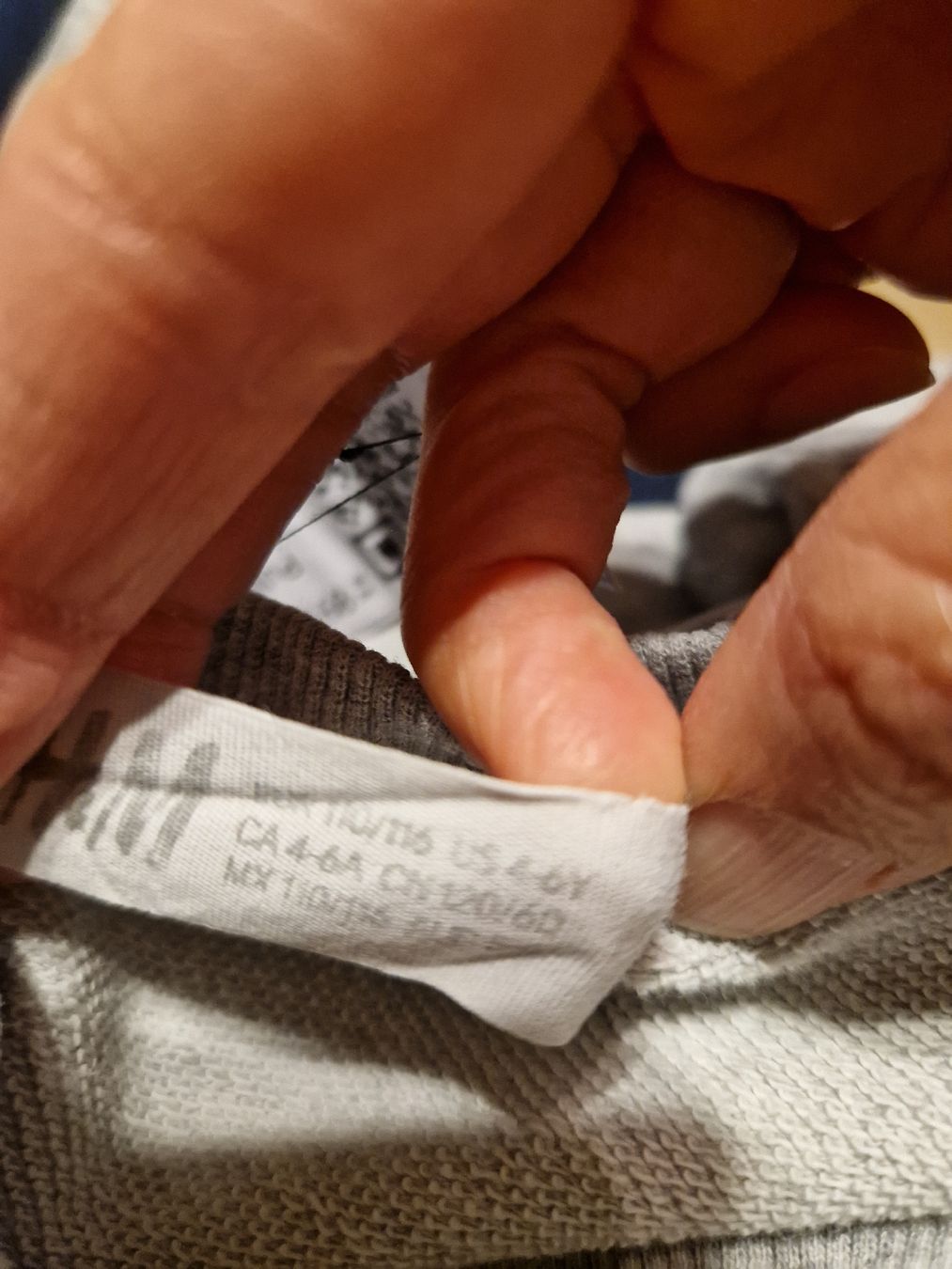 H&M Pullover & Sweatshirts: Dino Pulli Pullover Gr. 110 – Gebraucht aus Wimmis von traubenq 3