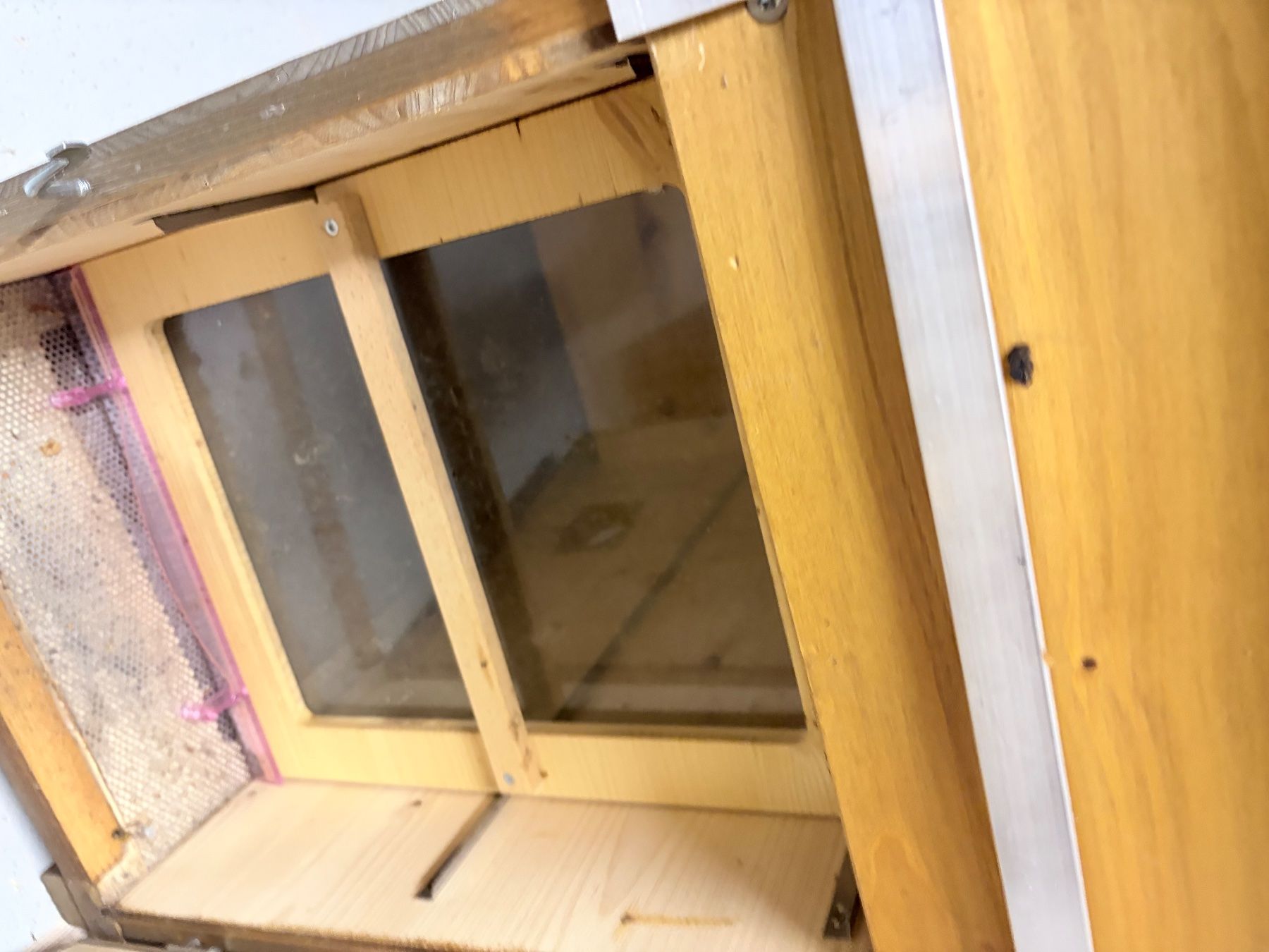 Alveari: Bienen Magazin CH-Mass, 2 Stück – Usato da Triesenberg venduto da Chefkoch20 8