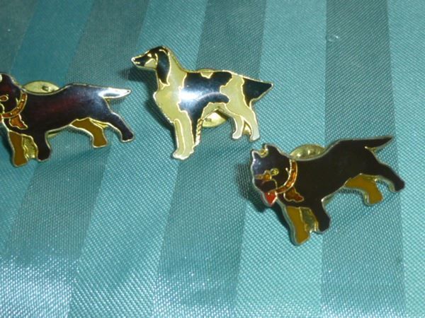 Spille & Fermagli: 3 x Pin Hunde Email – Usato da Hinwil venduto da Glasperlen 1