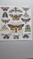 Diggelmann Alex Walter LITHOGRAPHIE SIGNIERT