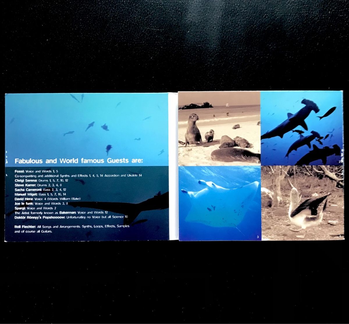 CD: CD Roli Fiechter - Vertiklang – Usato da Zürich venduto da tomakomai 2