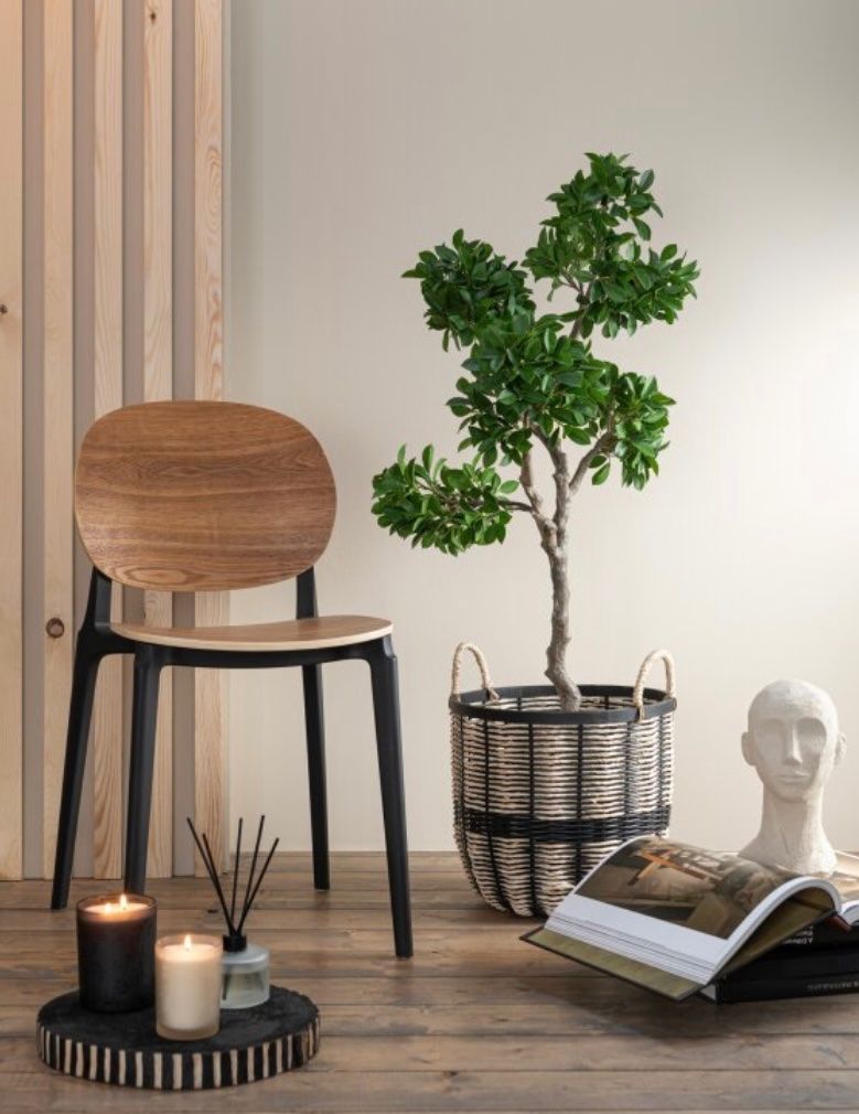 Stühle: Stuhl Holzoptik schwarz Neu - Top – Neu und originalverpackt aus Ruswil von Miami-2026
