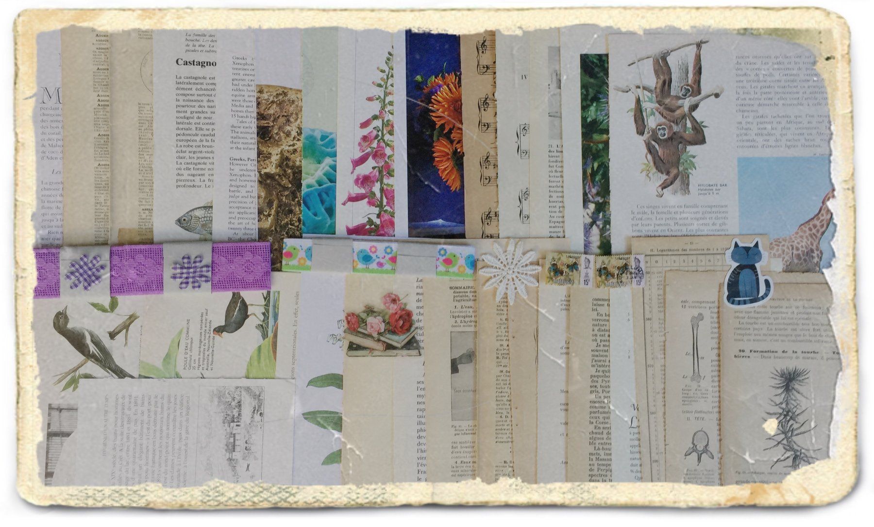 Bücher: ephemera 9/papier collage bastelpapier scrapbooking +Versand – Gebraucht aus Pully von websurfer1