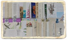 ephemera 9/papier collage bastelpapier scrapbooking +Versand