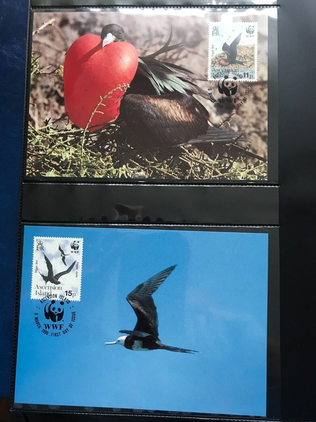 Tutti i francobolli: WWF Ascension 1990 Adlerfregattvogel Satz Maximumkarten – Nuovo (secondo la descrizione) da Liestal venduto da schnueps 1