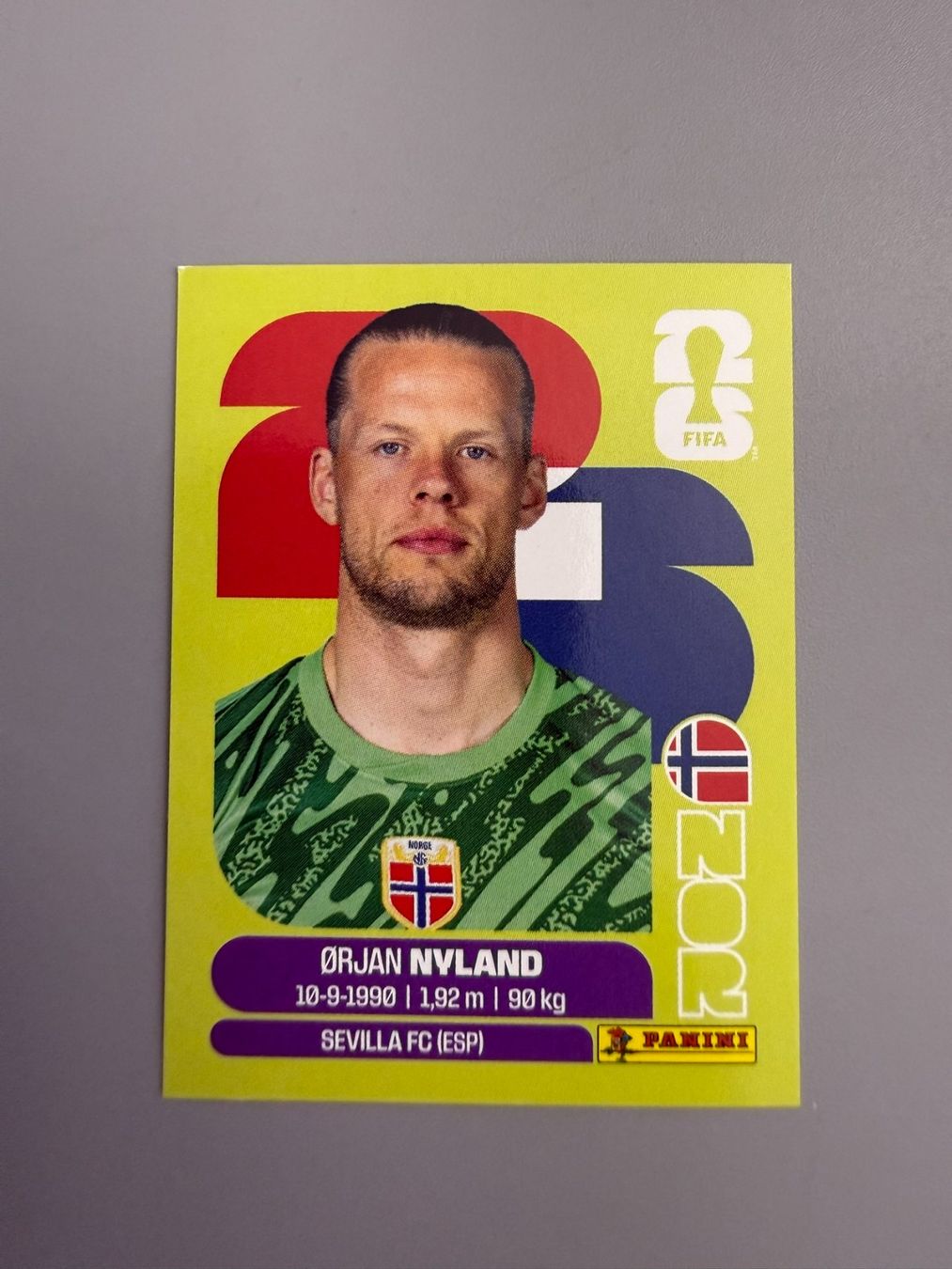 Panini Sammelbilder & Trading cards: Panini Orjan Nyland NOR2 – Gebraucht aus Liebefeld von Ronaldo-1996