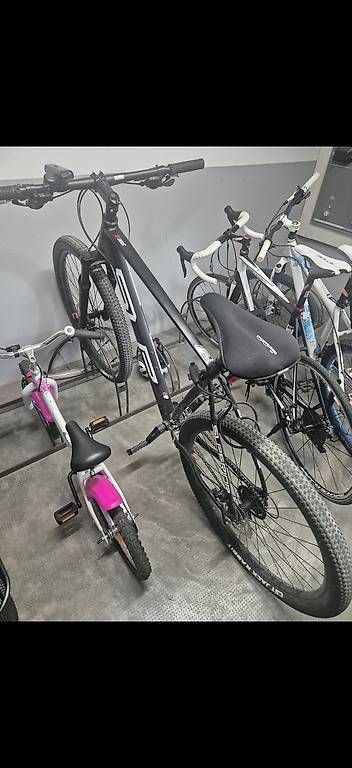 Biciclette: Mountainbike – Usato da Möhlin venduto da Dome4313