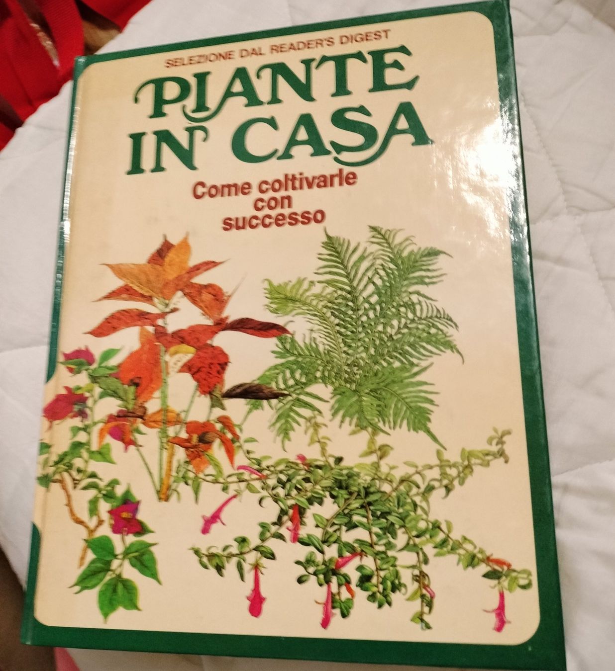 Libri: Piante in casa – Usato da Capolago venduto da sco_7ywt