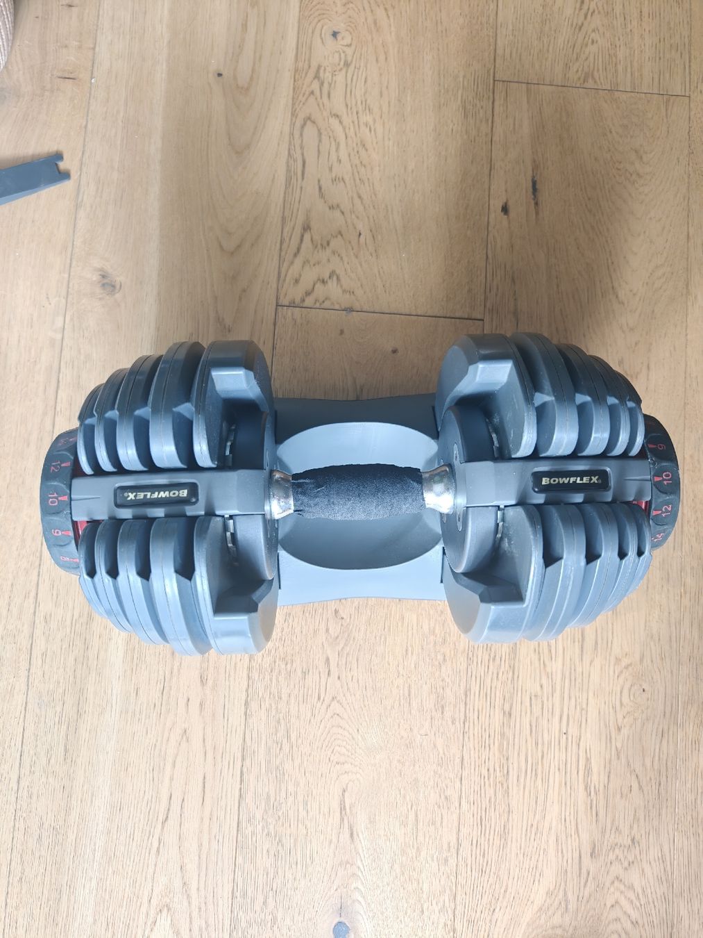 Bowflex Manubri & Pesi: Bowflex 21Kg verstellbare Hanteln – Usato da Emmen venduto da ametmall 8
