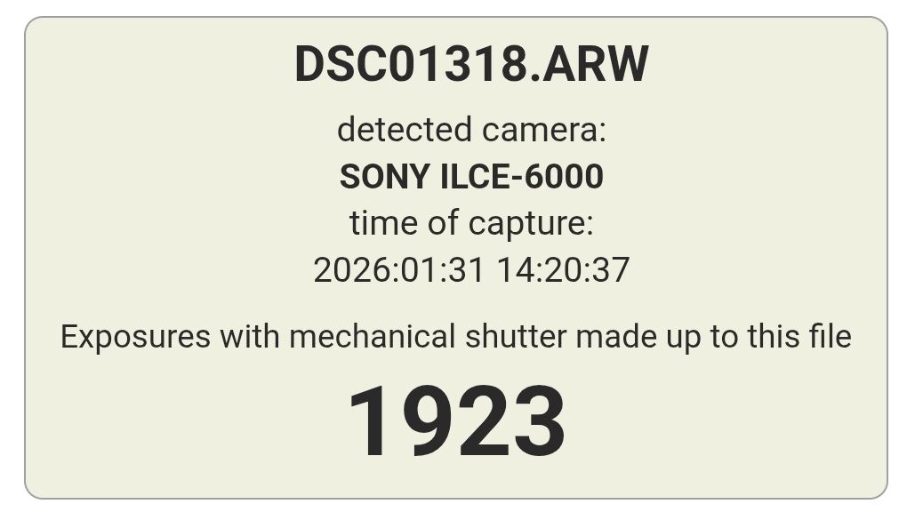 Sony Kamera: Sony Alpha 6000 Standard Kit – Gebraucht aus Itingen von tobretti 4