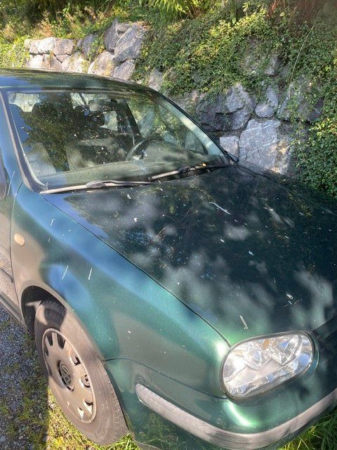 VW Automobili: WV Golf 4 , 1.6 – Usato da Wald AR venduto da mystic05 5
