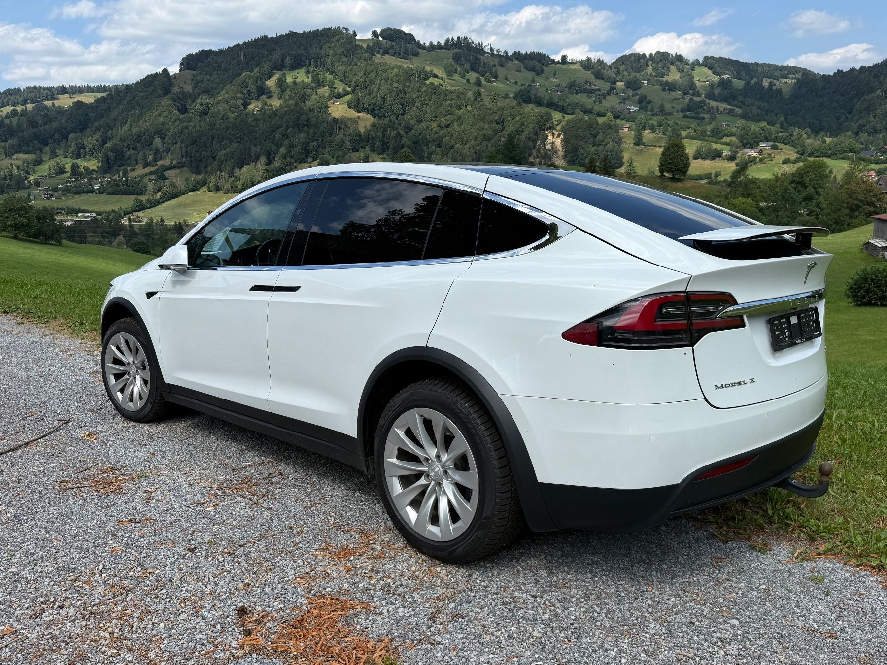 Tesla Automobili: TESLA Model X 100D – Usato da Ebnat-Kappel venduto da anitasteiner 4