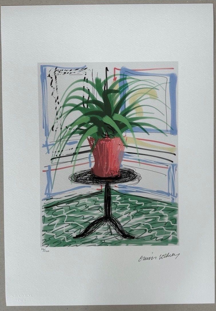 Foto & Immagini: David Hockney: Untiled XXX/200 – Nuovo (secondo la descrizione) da Meilen venduto da Smgdesign