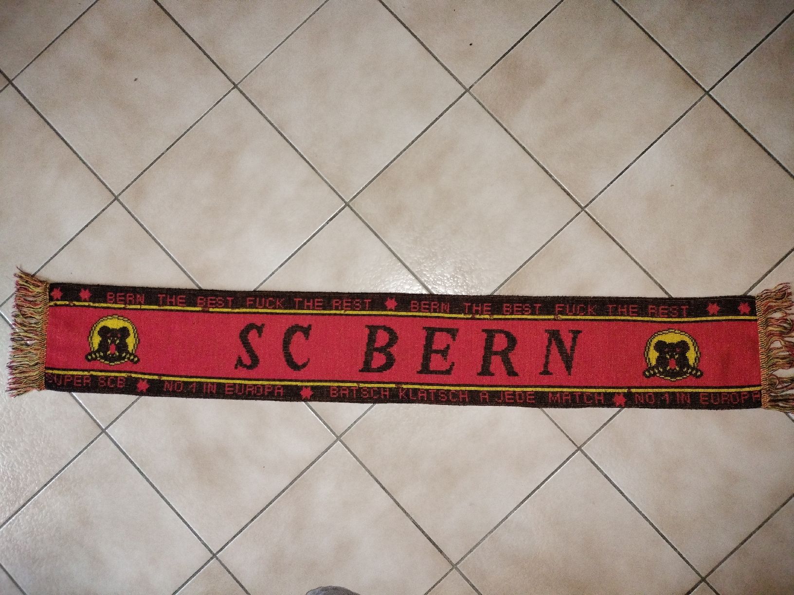 Foulard & Sciarpe: Alter SC Bern SCB Fan Schal – Usato da Schwanden Sigrisw venduto da Wibe81