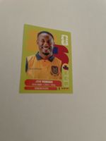 FIFA WM John Veboah ECU 14