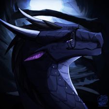 Profile image of drafolin